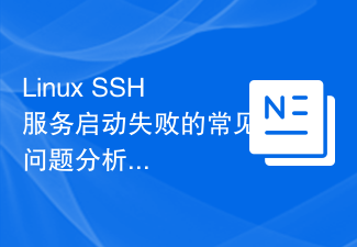 Analyse häufiger Probleme, wenn der Linux-SSH-Dienst nicht gestartet werden kann