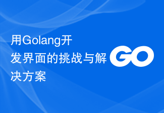用Golang开发界面的挑战与解决方案