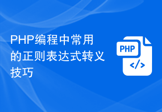 PHP 프로그래밍에서 일반적으로 사용되는 정규식 이스케이프 기술