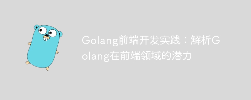 Pratique de développement front-end de Golang : analyser le potentiel de Golang dans le domaine front-end