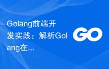 Golang前端开发实践：解析Golang在前端领域的潜力