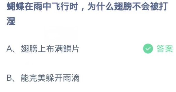 螞蟻莊園3月21日:蝴蝶在雨中飛行時為什麼翅膀不會被打濕