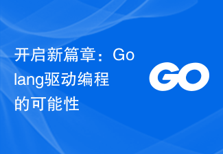 开启新篇章：Golang驱动编程的可能性