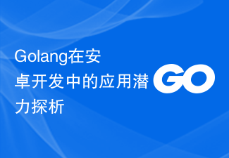 Golang在安卓开发中的应用潜力探析