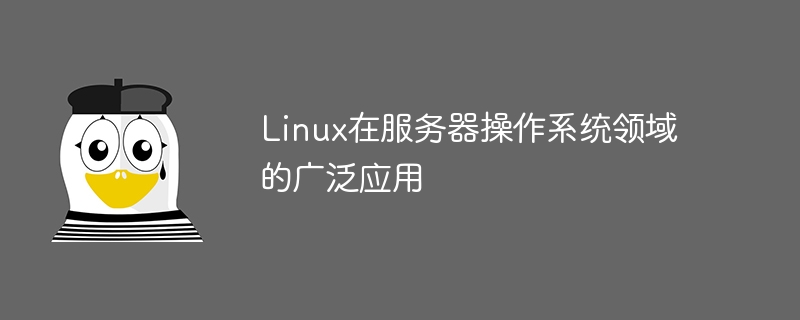 Linux在伺服器作業系統領域的廣泛應用