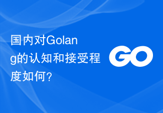 国内对Golang的认知和接受程度如何？