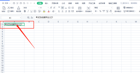 WPS表の文字を縦書きにする方法