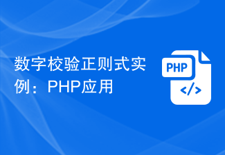 Example of digital verification regular expression: PHP application