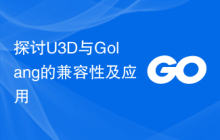探讨U3D与Golang的兼容性及应用