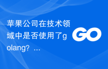 苹果公司在技术领域中是否使用了golang？