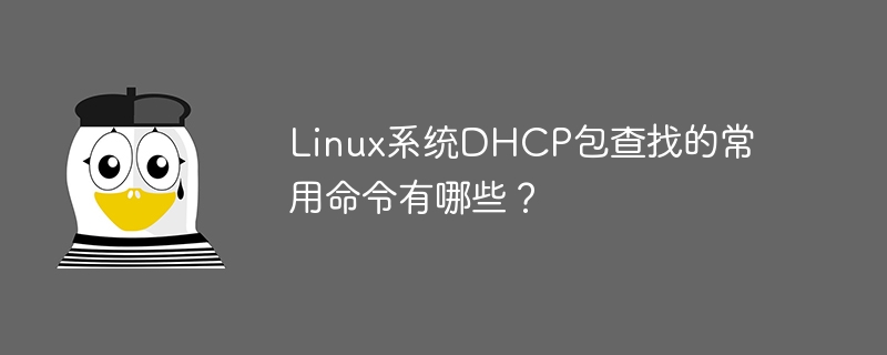 Apakah arahan biasa untuk carian paket DHCP dalam sistem Linux?