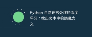 Python 自然语言处理的深度学习:找出文本中的隐藏含义