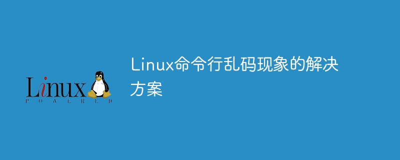 Linux 명령줄 문자 왜곡에 대한 솔루션