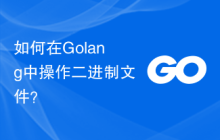 如何在Golang中操作二进制文件?