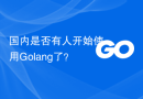 国内是否有人开始使用Golang了？