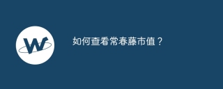 如何查看常春藤市值？