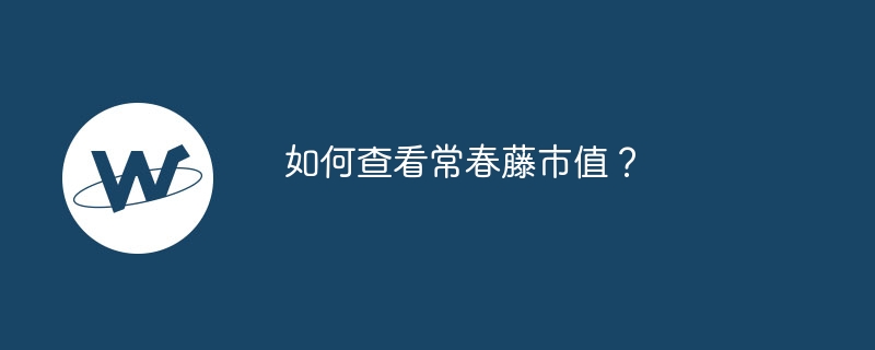 아이비 시가총액은 어떻게 확인하나요?