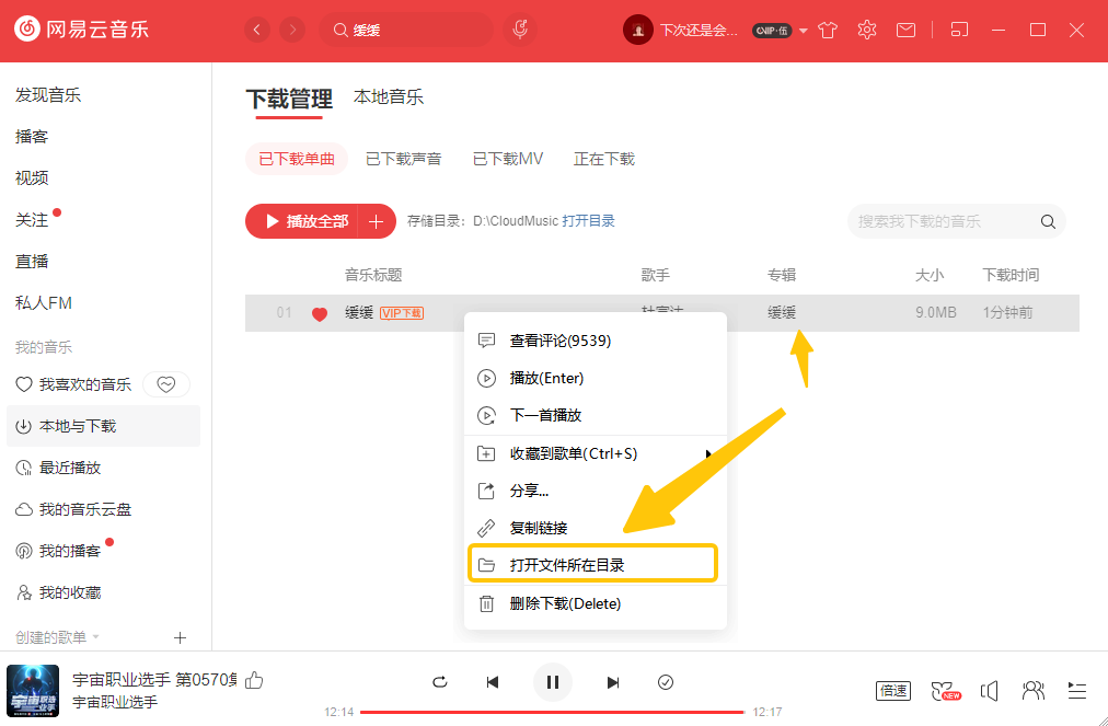 How to download NetEase Cloud Music to USB disk on computer