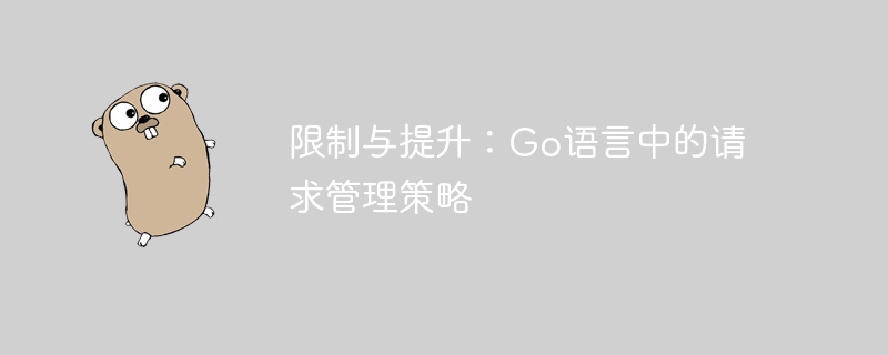 限制与提升：go语言中的请求管理策略