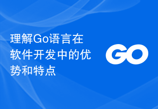 理解Go语言在软件开发中的优势和特点
