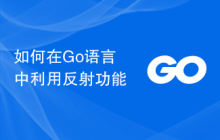 如何在Go语言中利用反射功能