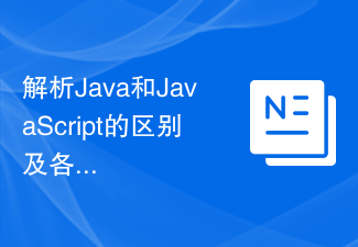 解析Java和JavaScript的区别及各自的优势