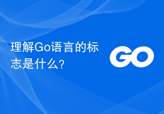 理解Go语言的标志是什么？