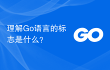 理解Go语言的标志是什么?