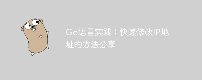 Go 言語の練習: IP アドレスをすばやく変更する方法を共有する