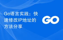 Go语言实践:快速修改IP地址的方法分享