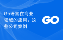 Go语言在商业领域的应用:这些公司案例
