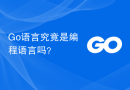 Go语言究竟是编程语言吗？