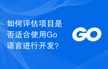 如何评估项目是否适合使用Go语言进行开发？