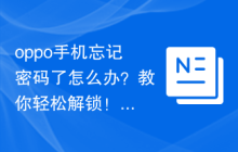 oppo手机忘记密码了怎么办？教你轻松解锁！