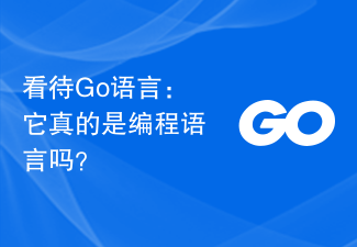 看待Go语言：它真的是编程语言吗？