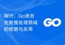 探讨：Go语言在数据处理领域的优势与应用