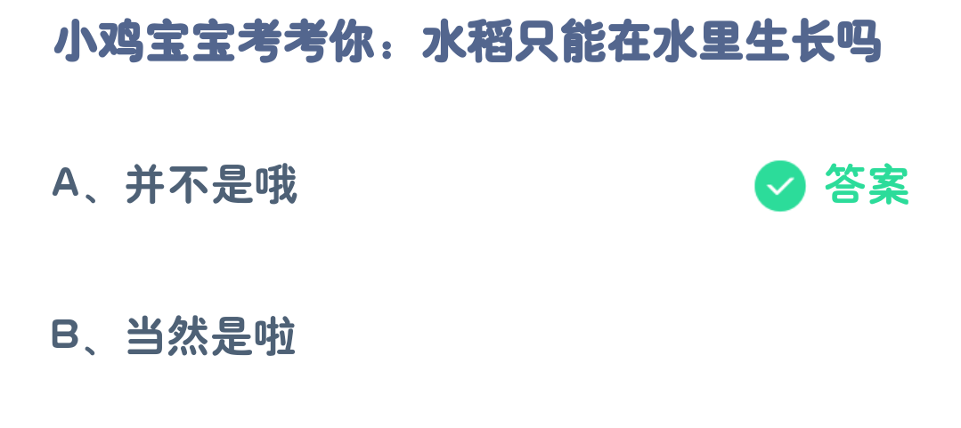 アントマナー今日の答え 3.25