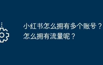 小紅書で複数のアカウントを持つにはどうすればよいですか?交通量はどうなっているのでしょうか?
