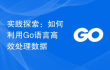 实践探索:如何利用Go语言高效处理数据