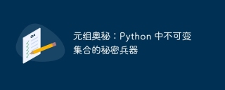 元组奥秘:python 中不可变集合的秘密兵器