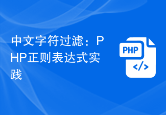 中文字符过滤:PHP正则表达式实践