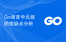 Go语言中元组的优缺点分析