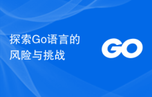 探索Go语言的风险与挑战