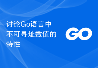 讨论Go语言中不可寻址数值的特性
