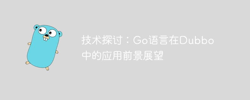 技術探討：Go語言在Dubbo的應用前景展望