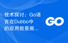 技术探讨:Go语言在Dubbo中的应用前景展望