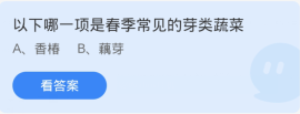蚂蚁庄园3月26日：以下哪一项是春季常见的芽类蔬菜