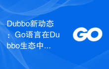 Dubbo新动态：Go语言在Dubbo生态中的应用探究