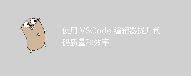 使用 VSCode 编辑器提升代码质量和效率