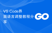 VS Code界面语言调整教程分享